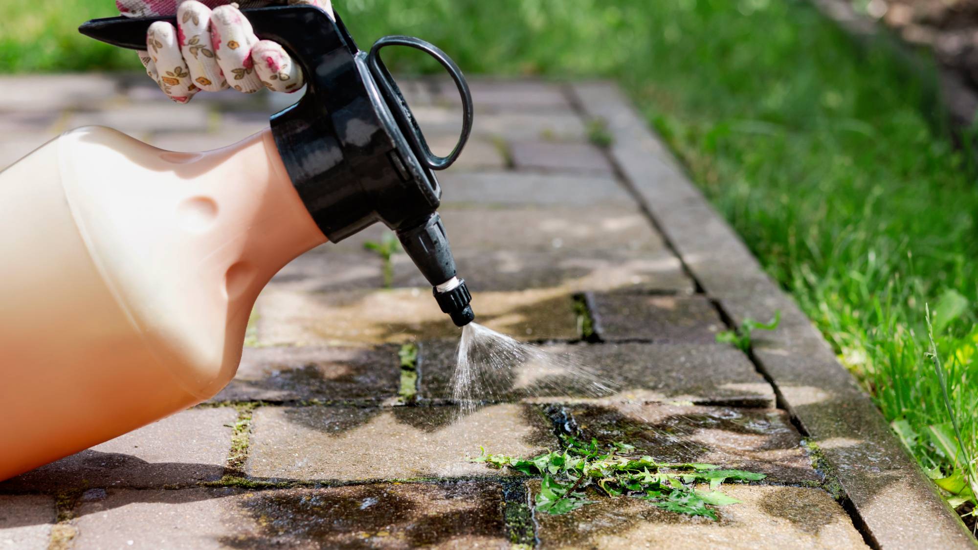 Spraying weed on patio with weed killer