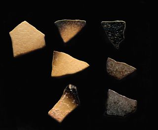 Visibly brunt Genyornis eggshells that were burnt by human campfires, rather than natural fires, some 50,000 years ago.