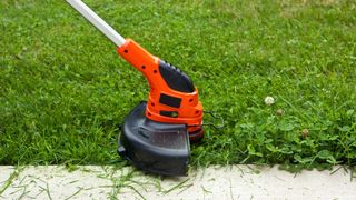Strimmer in use on lawn