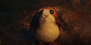 A Porg in Star Wars: The Last Jedi