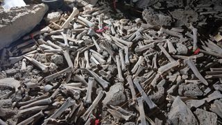 A sampling square in an ancient hyena den, including bones from human remains.