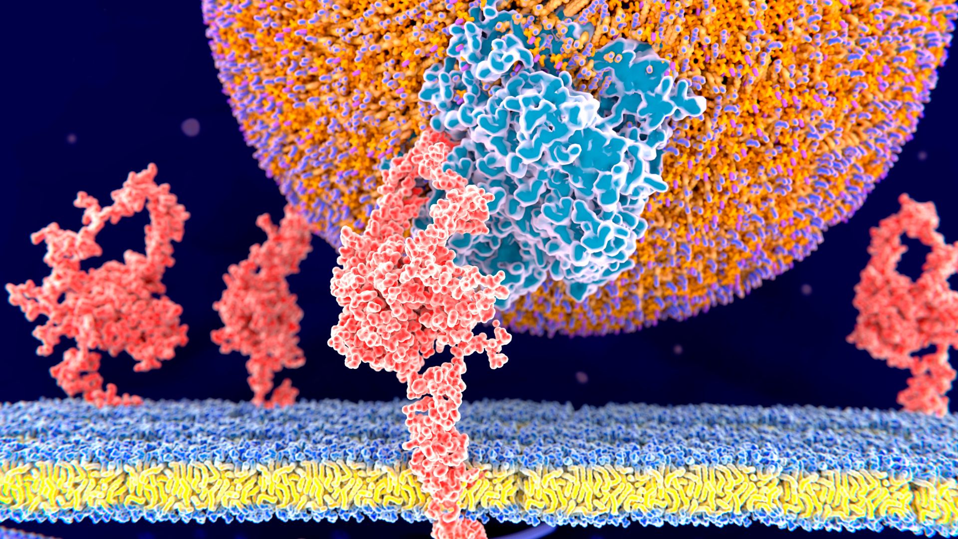 CRISPR therapy for high cholesterol shows promise in early trial