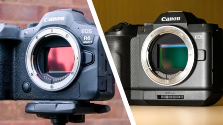 Canon EOS R6 Mark II on a tripod in front of a brick wall (left) Canon EOS R8 Mark II with grip on a wooden table (right)