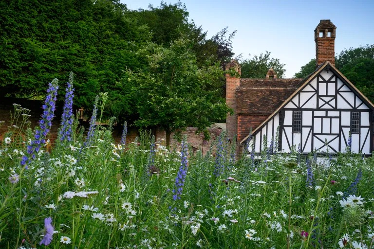 Jo Thompson Garden Design