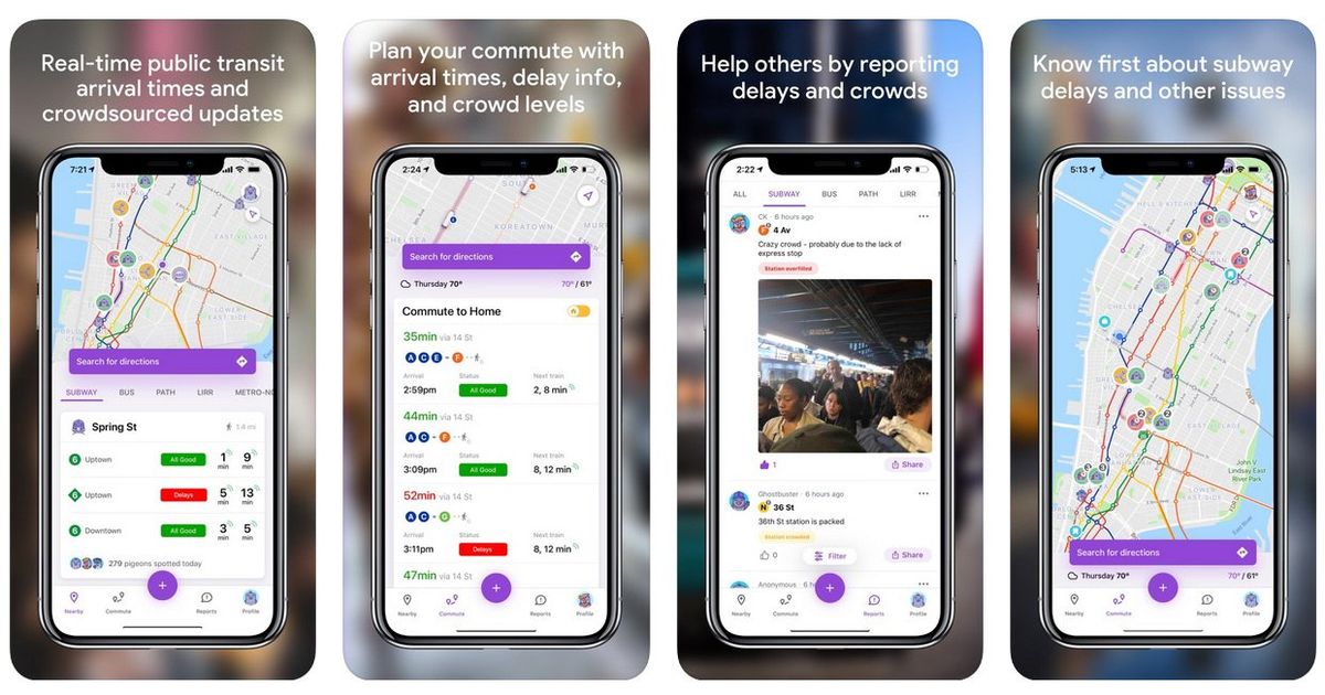 Pigeon Transit app