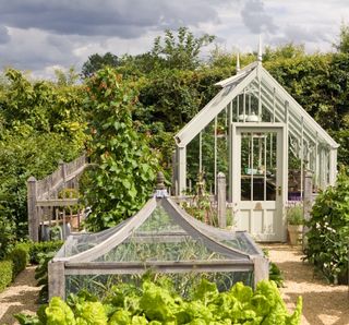 Victorian greenhouse ideas shown in aluminum with a picket fence surrounding it and a caged vegetable plot.