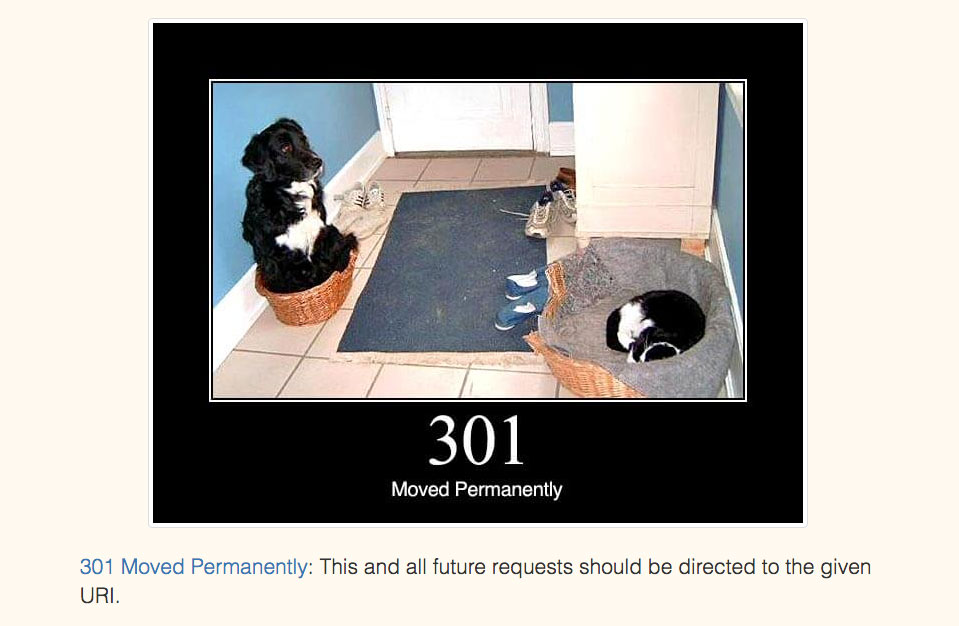 This is why cats are best