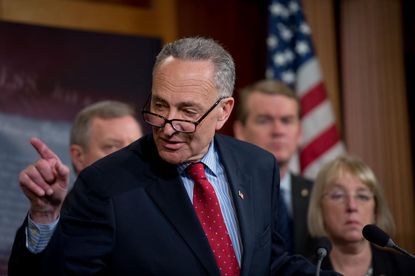 Democratic Sen. Chuck Schumer: 'End partisan primaries, save America'