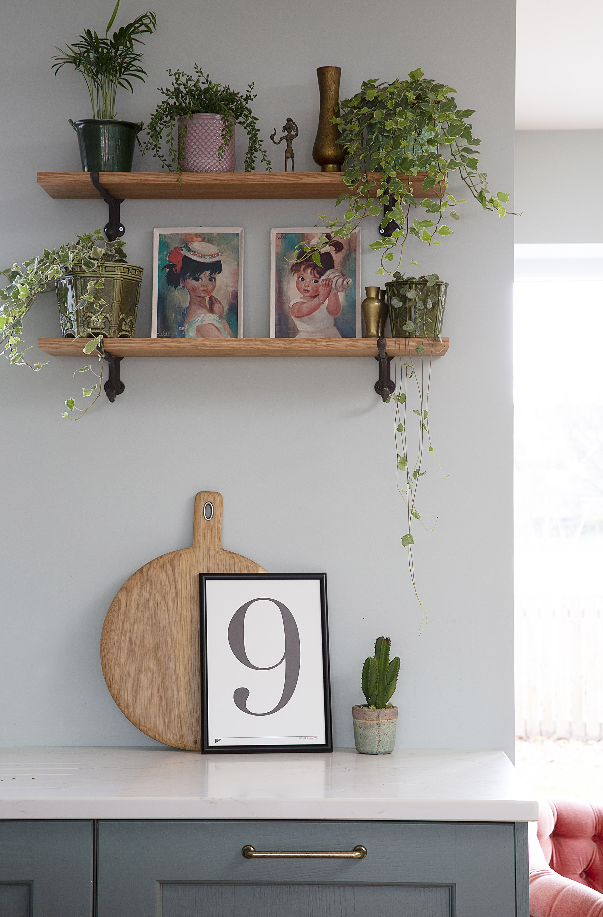 Kitchen shelf with hanging house plants and vintage print