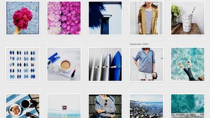 Blue, Organism, Textile, Photograph, Dress shirt, Collar, Elbow, Purple, Lavender, Azure, 