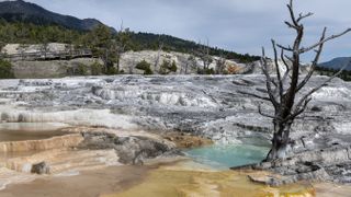 Mammoth Hot Springs at Yellowstone National Park