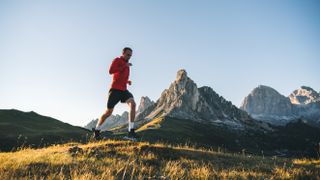 Trail runner traverses alpine meadow at sunrise