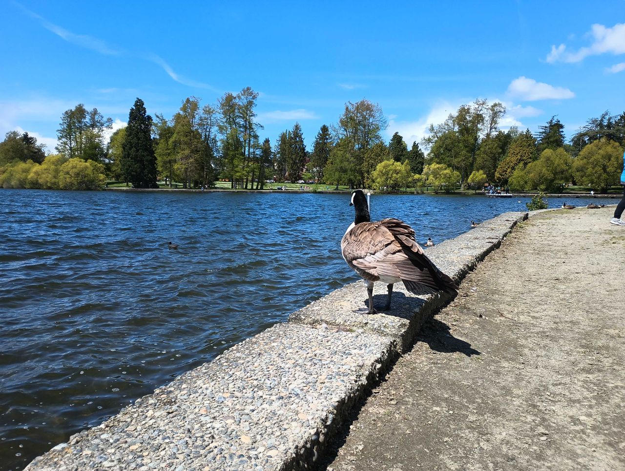 Moto G 5G (2022) camera sample