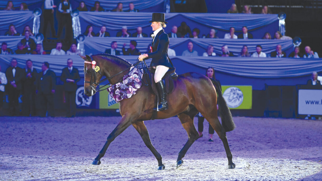 MANHATTEN, exhibited by Ms Harriet Dennison winners of the The Andrews Family Hack of the Year Championship during the Horse of the Year Show held at the NEC in Birmingham in UK between 9 - 13 th October 2024