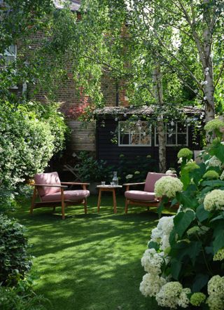 Small lawned garden with outdoor seated and shed
