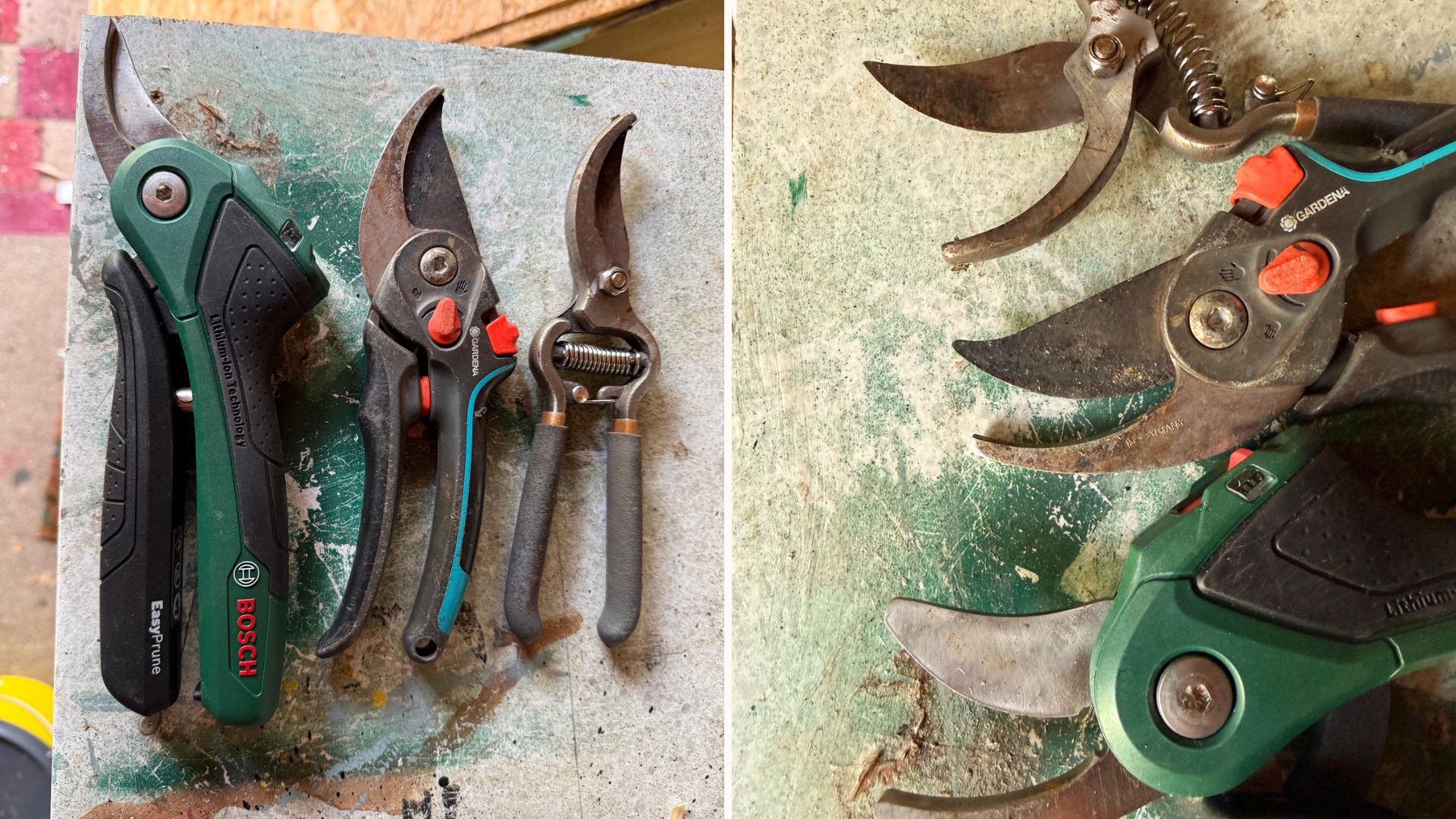 Bosch EasyPrune cordless garden secateurs