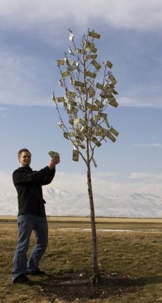 Person Standing Next To A Tree With Dollar Bills As Leaves