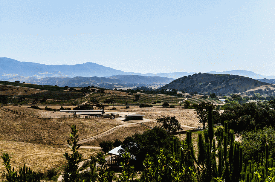 Santa Ynez Valley