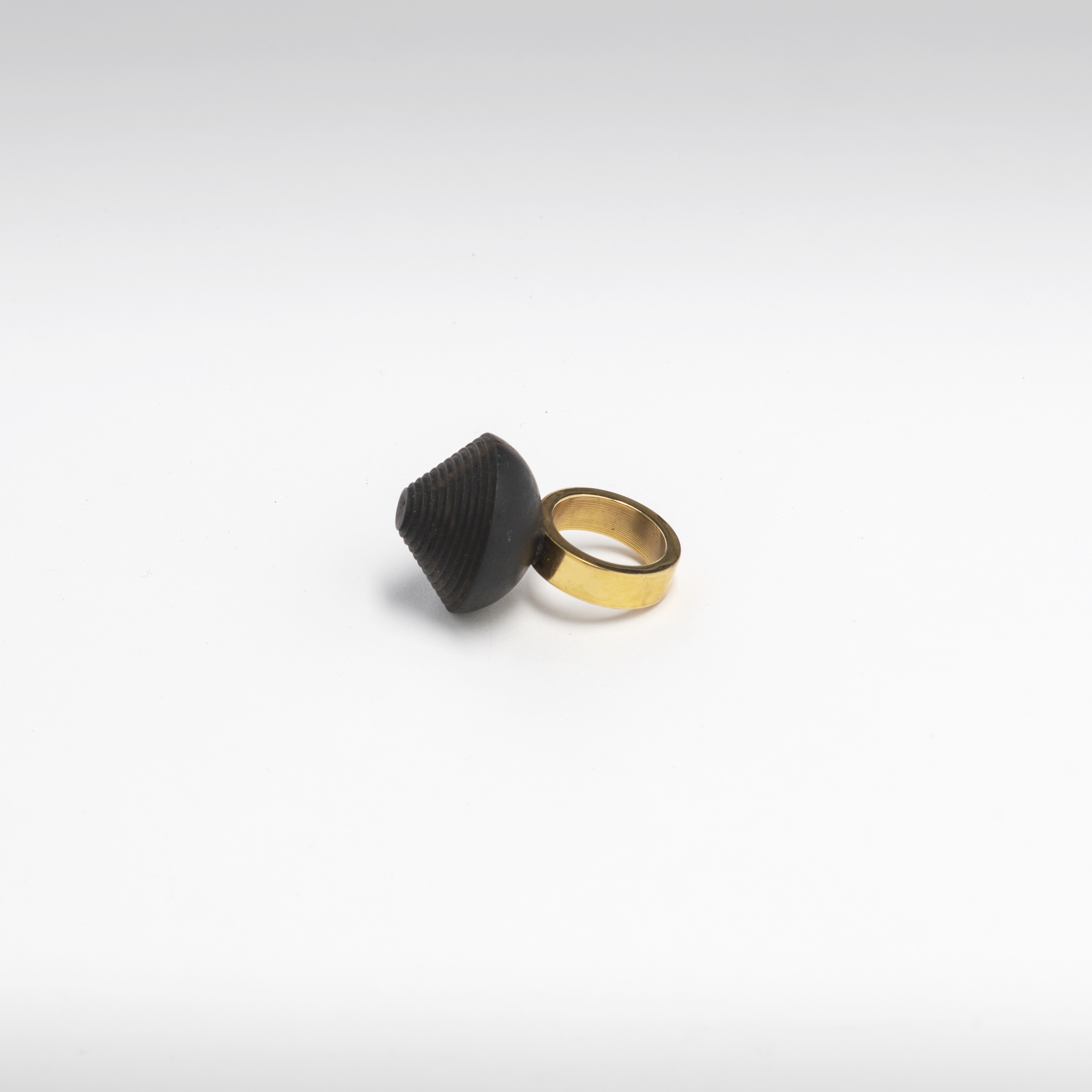 Ebony Revolution ring by Simone Brewster