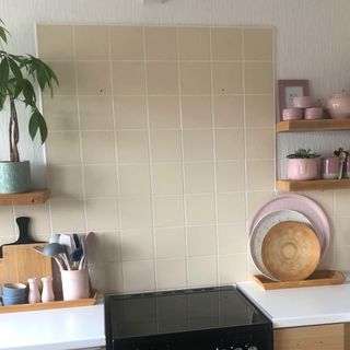 kitchen room with shelves on wall and plant in pots