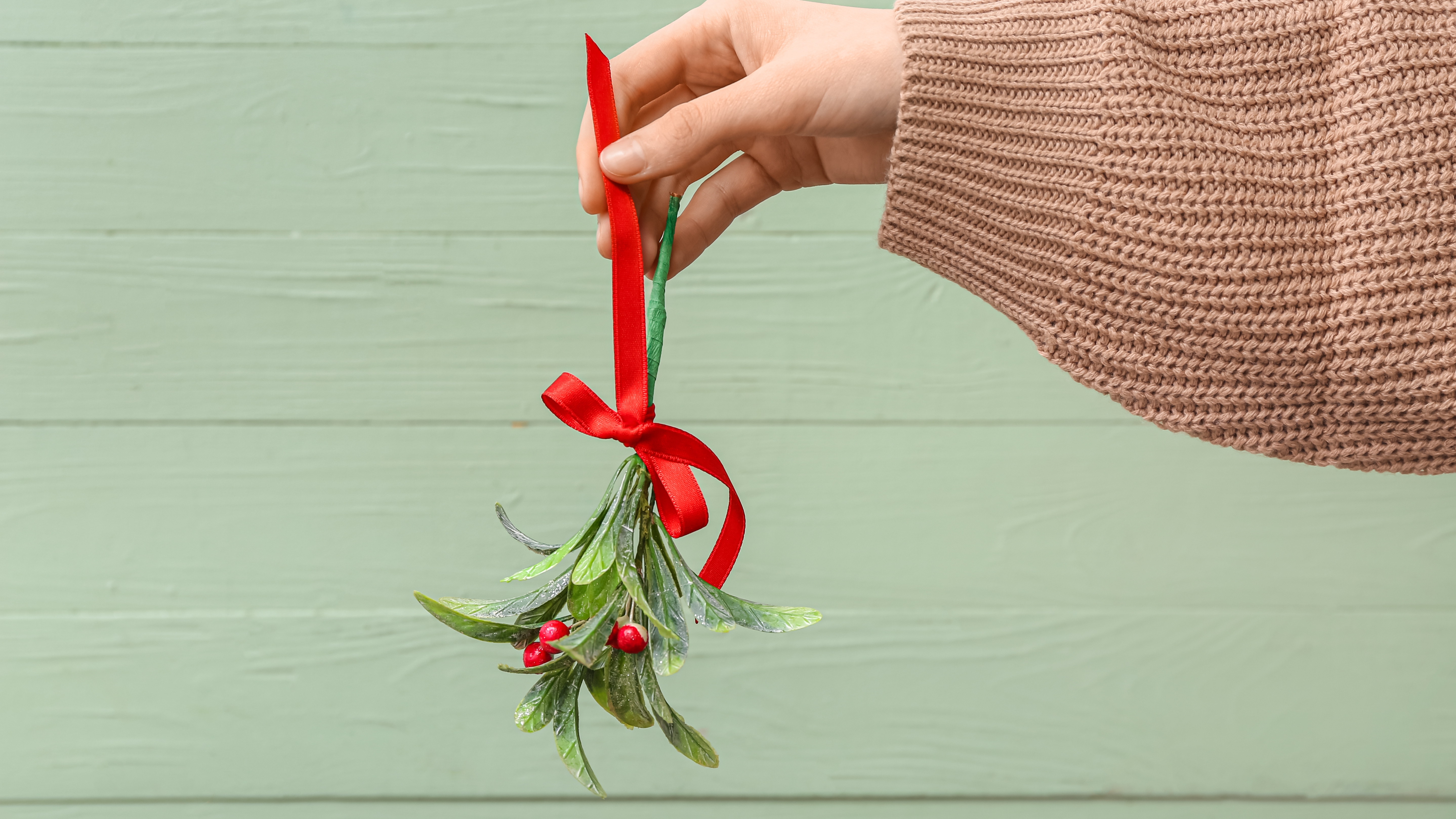 Woman holding mistletoe