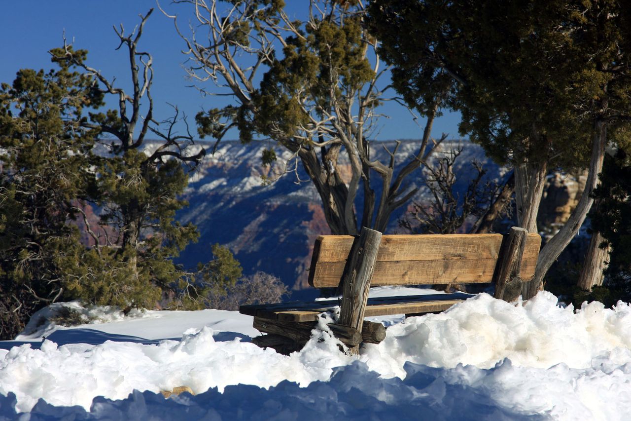 The Grand Canyon in winter