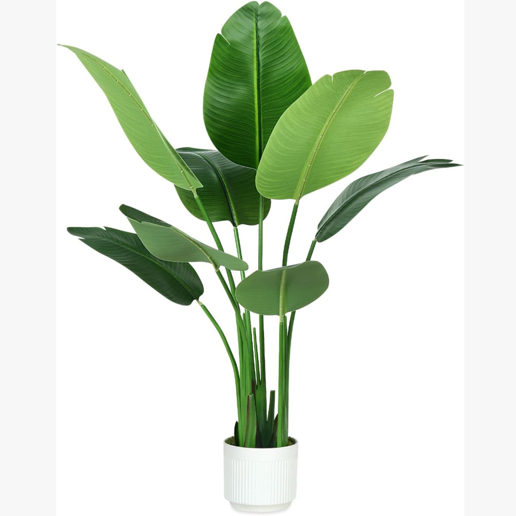 Artificial Bird of Paradise Plant