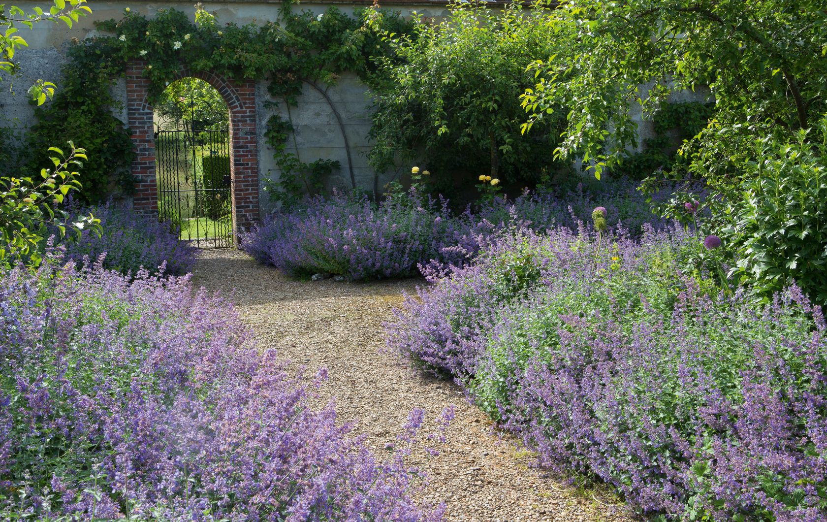 How to employ a garden designer | Real Homes