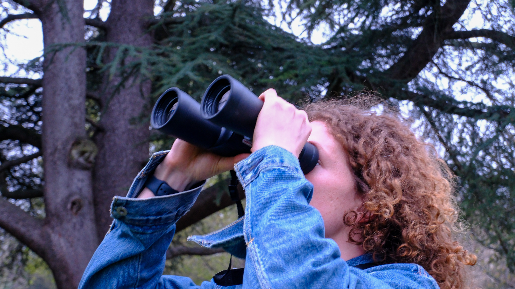 A side view of a man with curly hair looking upwards through the Nikon Action Zoom 10-22x50 binoculars, with a tree in the background.