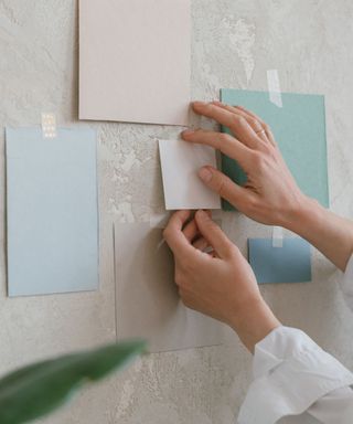 Color swatches on a gray wall, with one being placed on wearing a white shirt