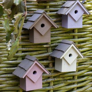 Birdboxes on wooden fence