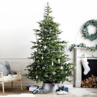 The White Company Pre Lit Grand Spruce Christmas Tree 9ft