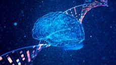 Binary brain and genomic DNA on a dark blue particle background