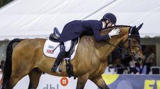 Bubby Upton and Cannavaro after dressage in the five-star at Luhm&uuml;hlen Horse Trials
