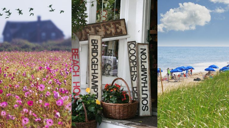 Summer, Flower, Wildflower, Spring, Plant, Vacation, Sea, Coast, Tourism, Travel, 