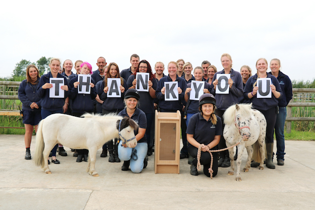 The team with the new donation box and Spotty (right) and Pegasus (left) who is looking for a new home