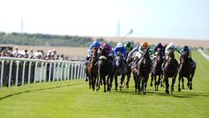 Neil Callan riding No Half Measures lead The July Cup Stakes