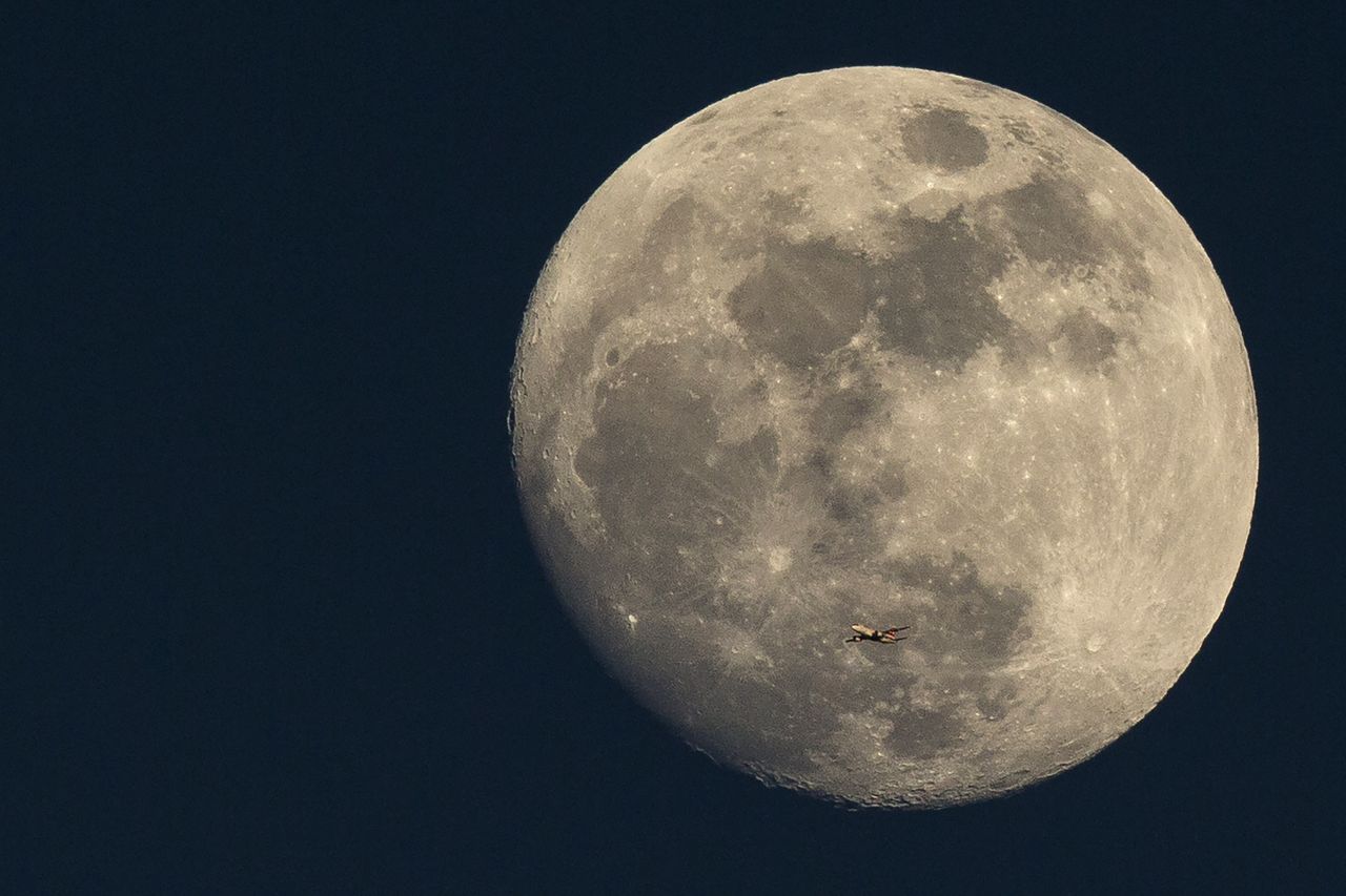 SpaceX moon trip. 