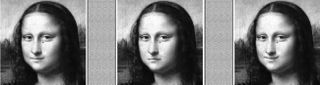 Some of the happy and sad Mona Lisa portraits.