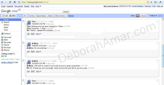 Rating Google: Google Voice