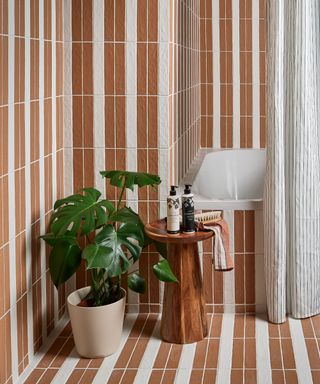 A brown and white tiled bathroom with top to bottom tiling, a green monstera plant in a beige pot, a wooden table with bottles and a towel on it, and a white and black striped shower curtain