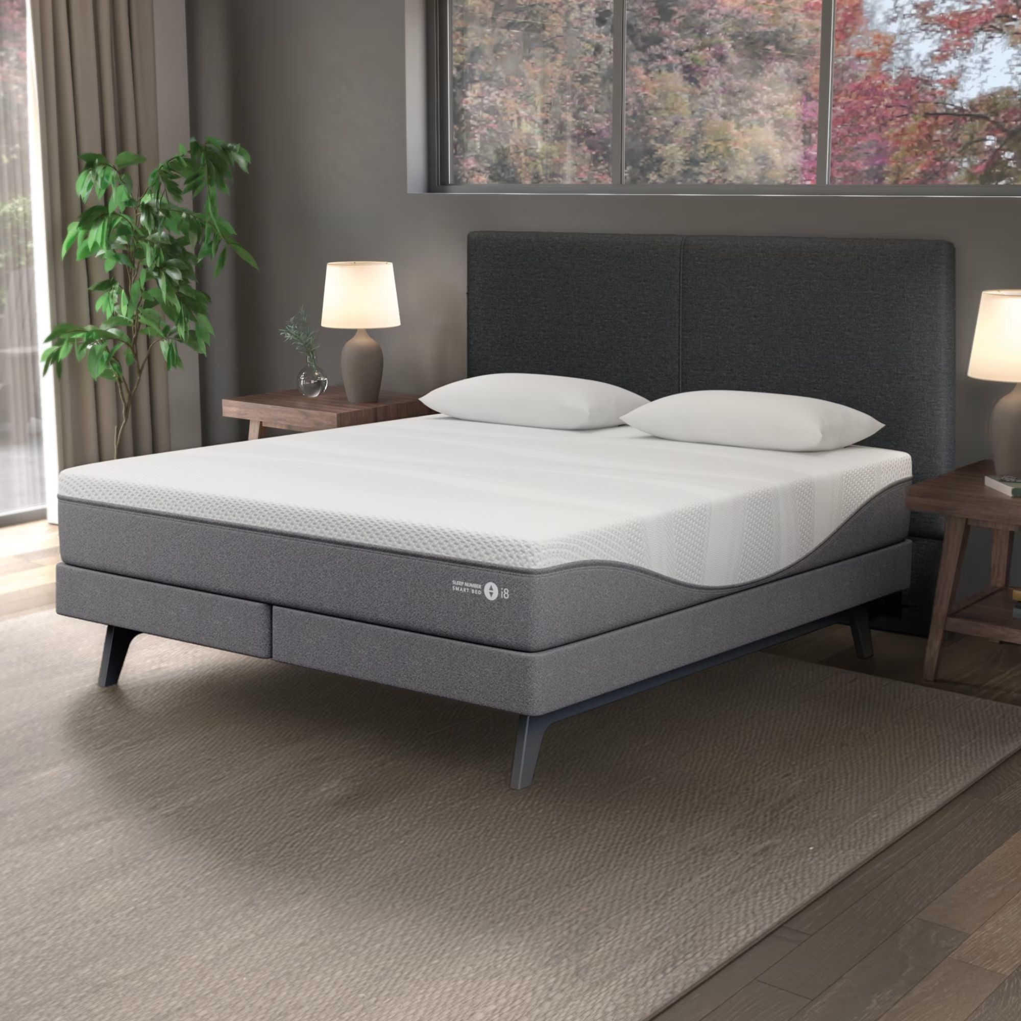 A grey and white Sleep Number i8 mattress on a grey upholstered bed, in a grey bedroom. To either side of the bed are wooden bedside tables with lit grey lamps with white shades, and to the left is a large houseplant, large window, and beige curtains. Beneath the bed is wooden flooring with a pale beige rug, and above the bed is a large window.