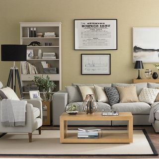 living area with grey sofa and book shelves