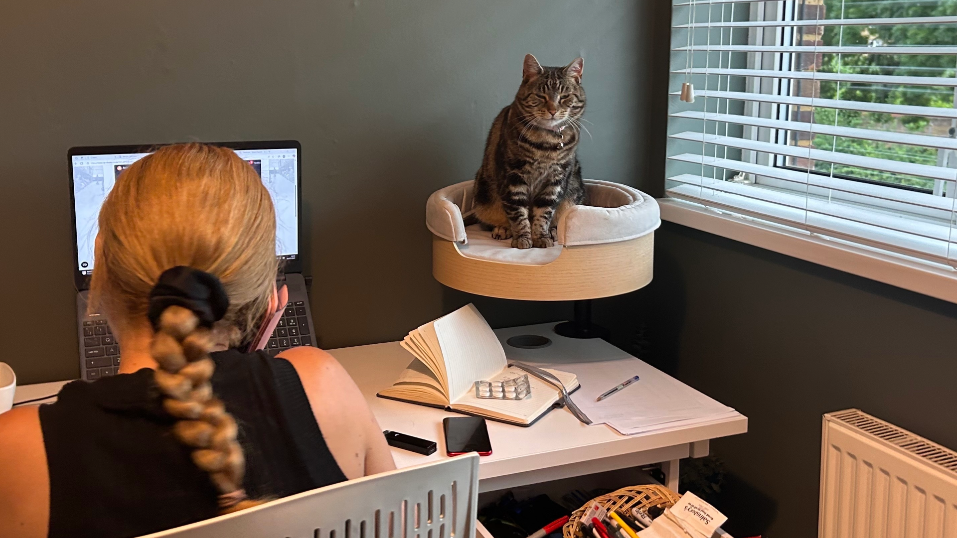 Megan's cat sitting in the Desk Nest while her mum sits on a chair on the phone in front of her laptop