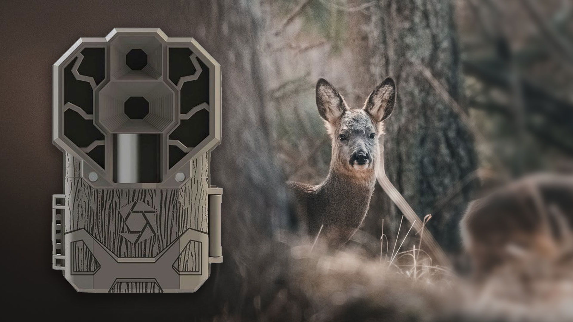 Best trail cameras in 2021: Top camera traps for wildlife and nature photography