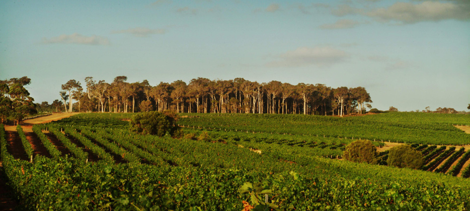 Leeuwin Estate