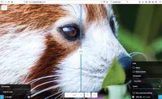 7 top tips for performant design: Optimise images