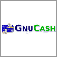 GnuCash - Best simple approach option for accounting