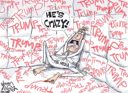 Political cartoon U.S. Trump liberal media fake news