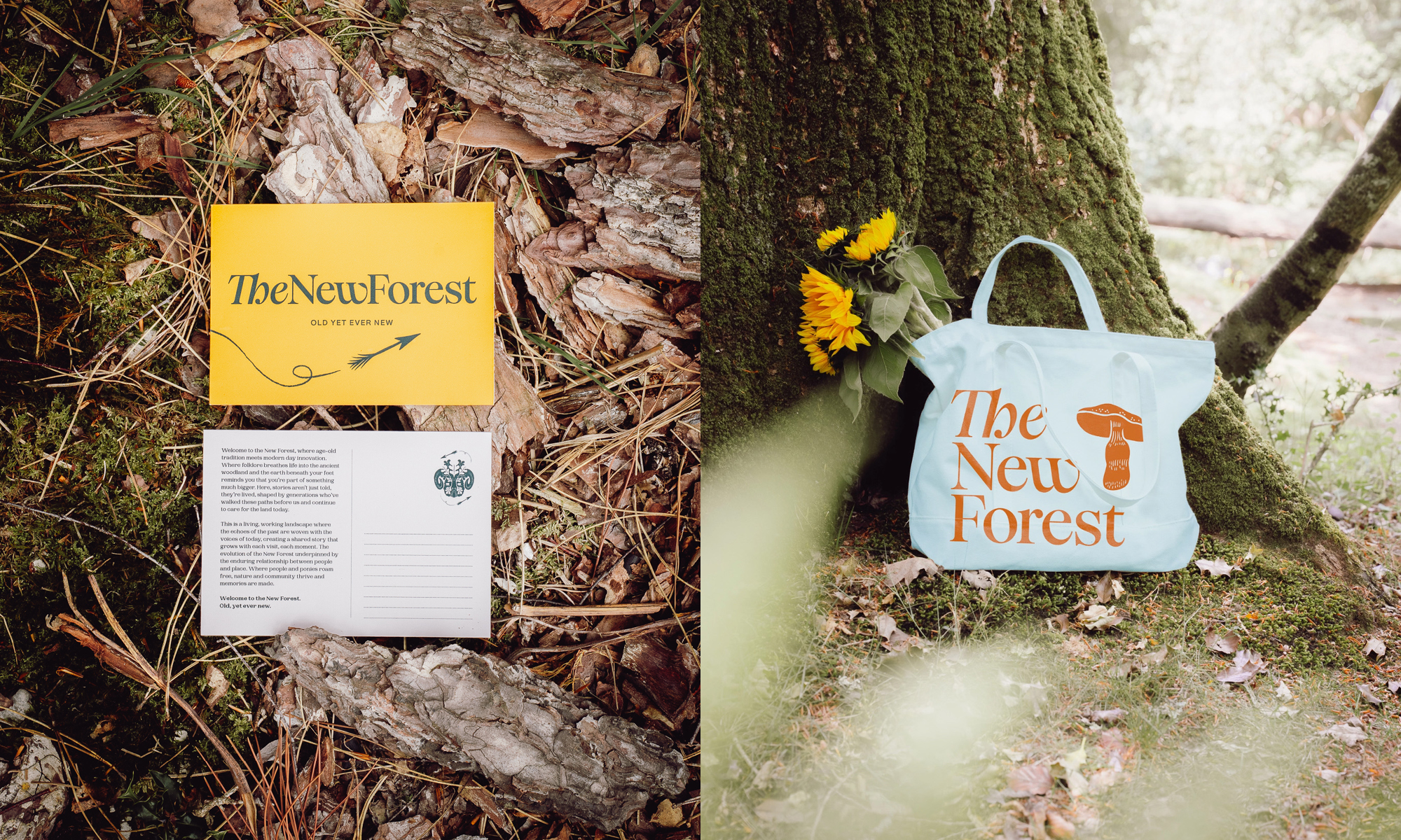 The New Forest tote bag and brochure in the forest